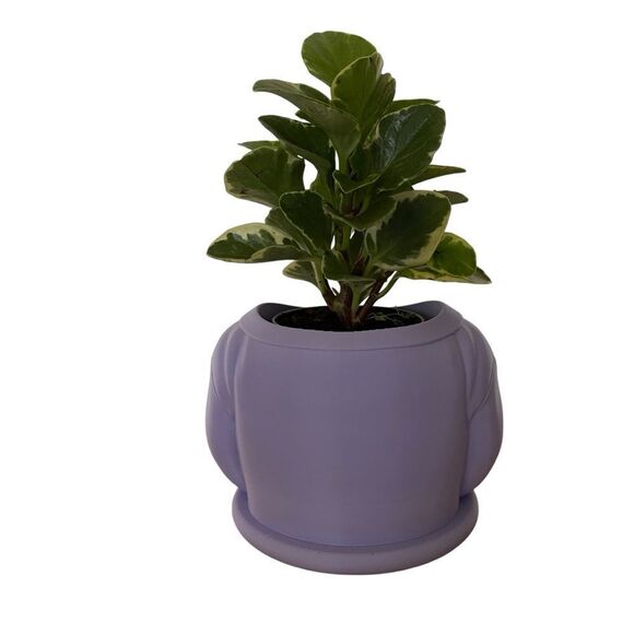 Lavender “Good Vibes” Sweater Planter - Spread Positivity with Sustainable Style - Picture 8 of 8